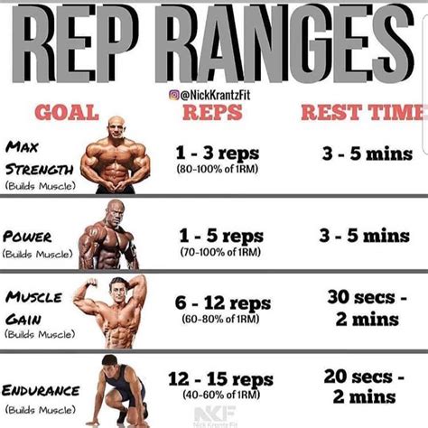 best hand counter for exercise reps